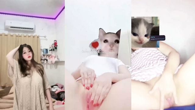 Bokep Indo Chellmey Colmek Meki Pinknya Bikin Pengen Coli Terus